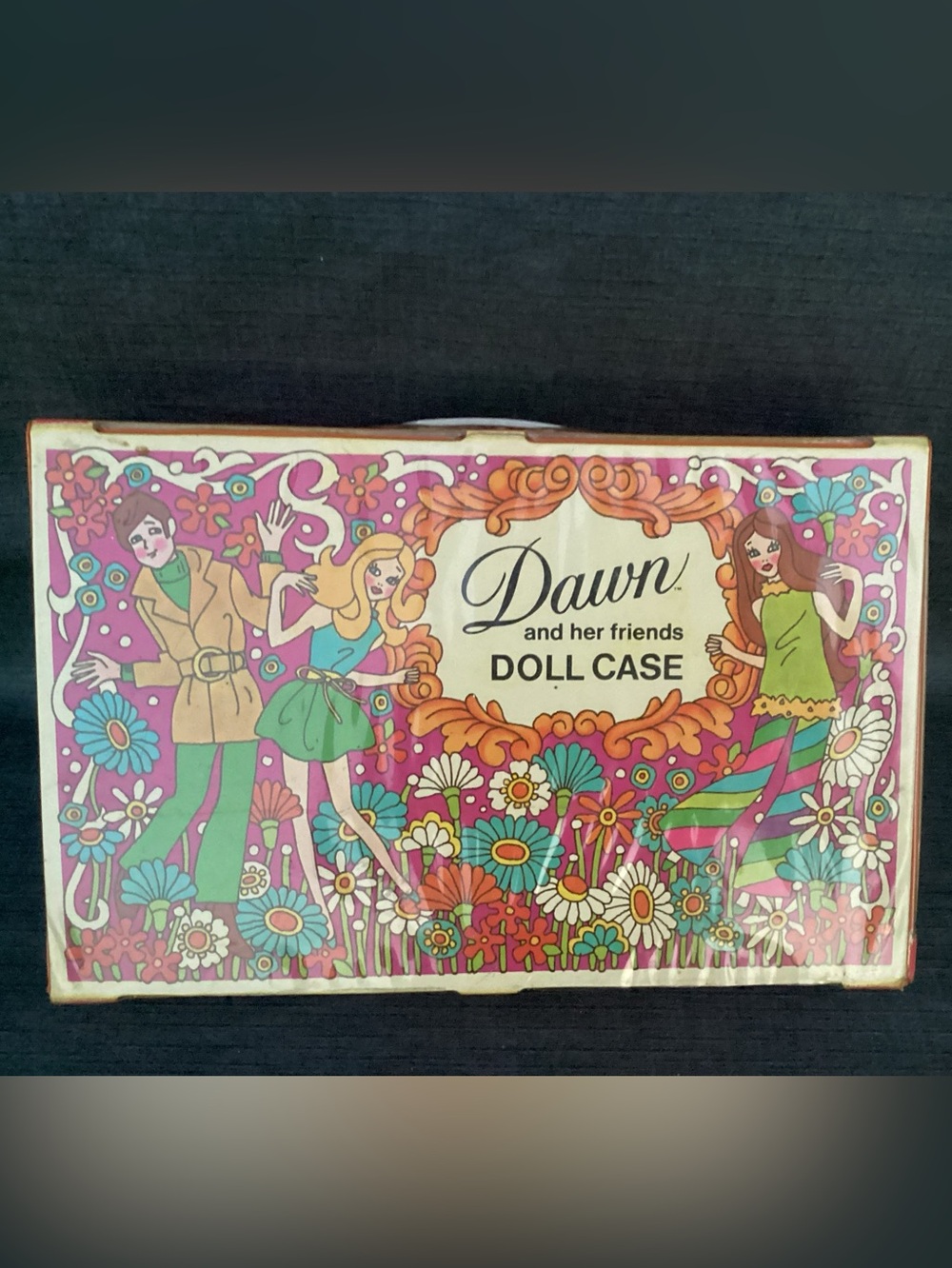 Vintage Topper 1971 Dawn and her friends DOLL CASE